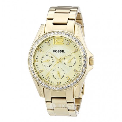 FOSSIL FOSSILŮʿʯӢES3203 Ȿԭ