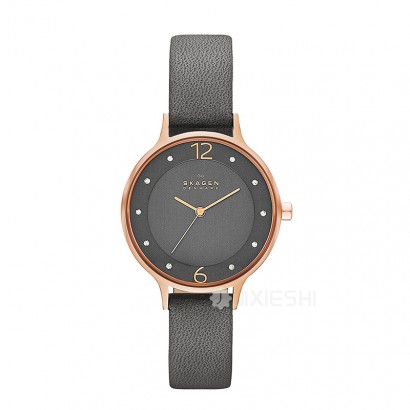 SKAGEN DENMARK Ԋ(sh)ʯӢŮʿֱSKW2267 Ȿԭ