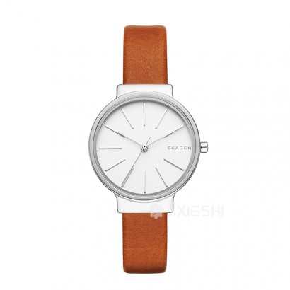 SKAGEN DENMARK ԊʯӢŮʿֱSKW2479 Ȿԭ