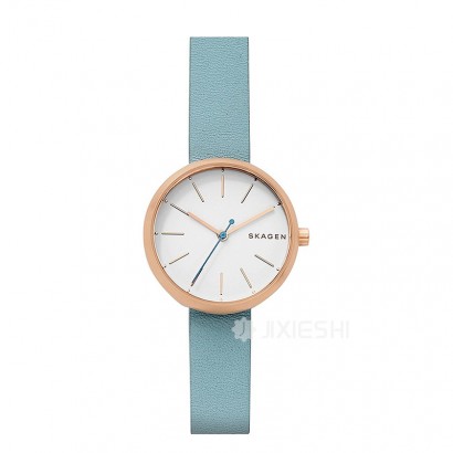 SKAGEN DENMARK ԊʯӢŮʿֱSKW2621 Ȿԭ