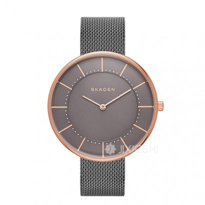 SKAGEN DENMARK ԊʯӢŮʿֱSKW2584 Ȿԭ