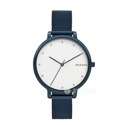 SKAGEN DENMARK ԊʯӢŮʿֱSKW2579 Ȿԭ