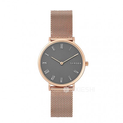 SKAGEN DENMARK ԊʯӢŮʿֱSKW2675 Ȿԭ