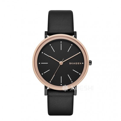 SKAGEN DENMARK Ԋ(sh)ʯӢŮʿֱSKW2490 Ȿԭ