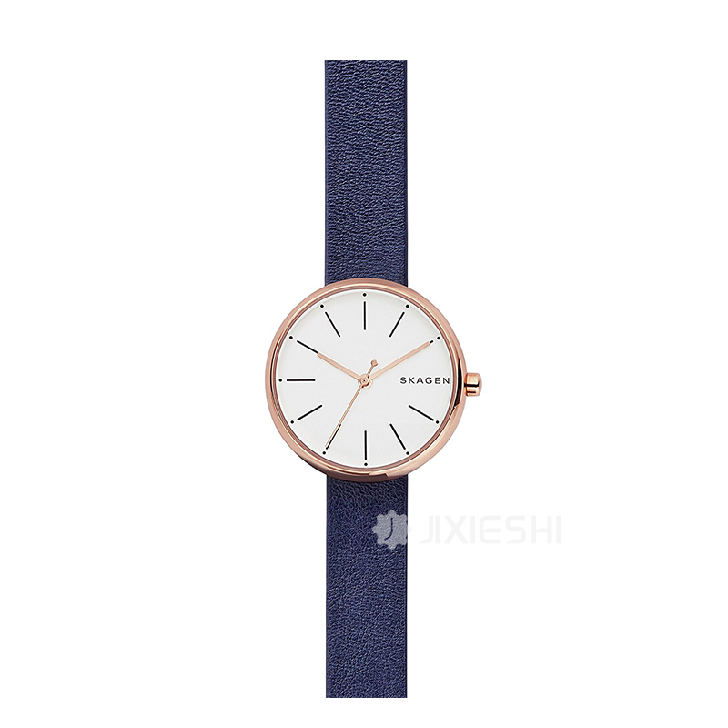 SKAGEN DENMARK ԊʯӢŮʿֱSKW2592 ...