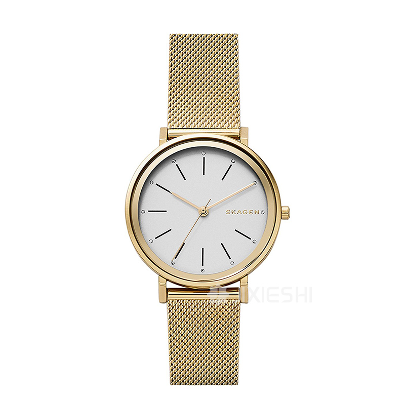 SKAGEN DENMARK Ԋ(sh)ʯӢŮʿֱSKW2509 ...