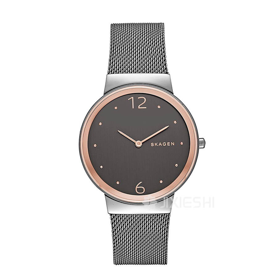 SKAGEN DENMARK ԊʯӢŮʿֱSKW2382 ...