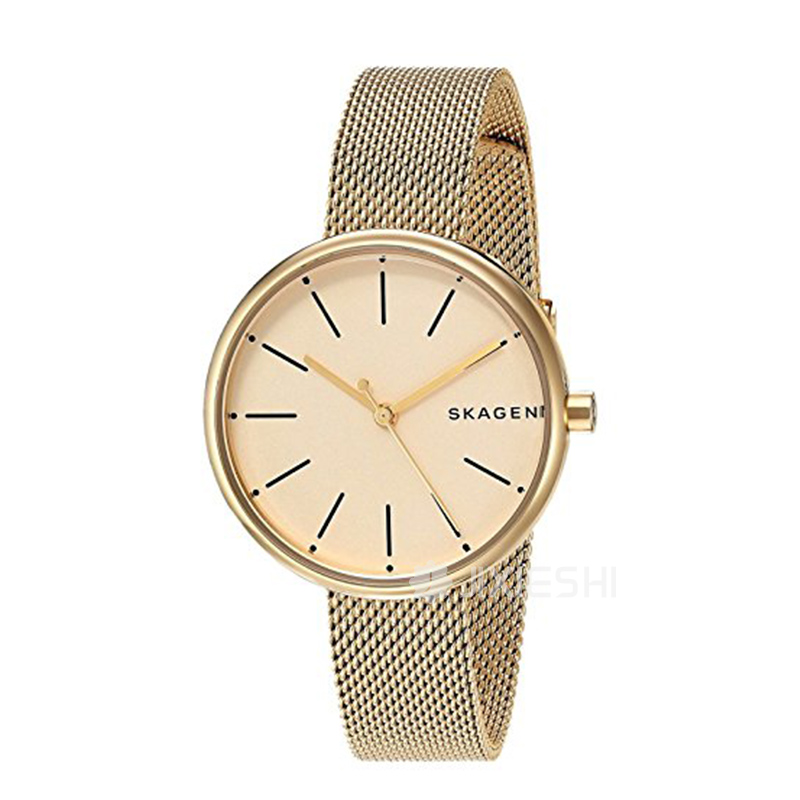 SKAGEN DENMARK ԊʯӢŮʿֱSKW2614 ...