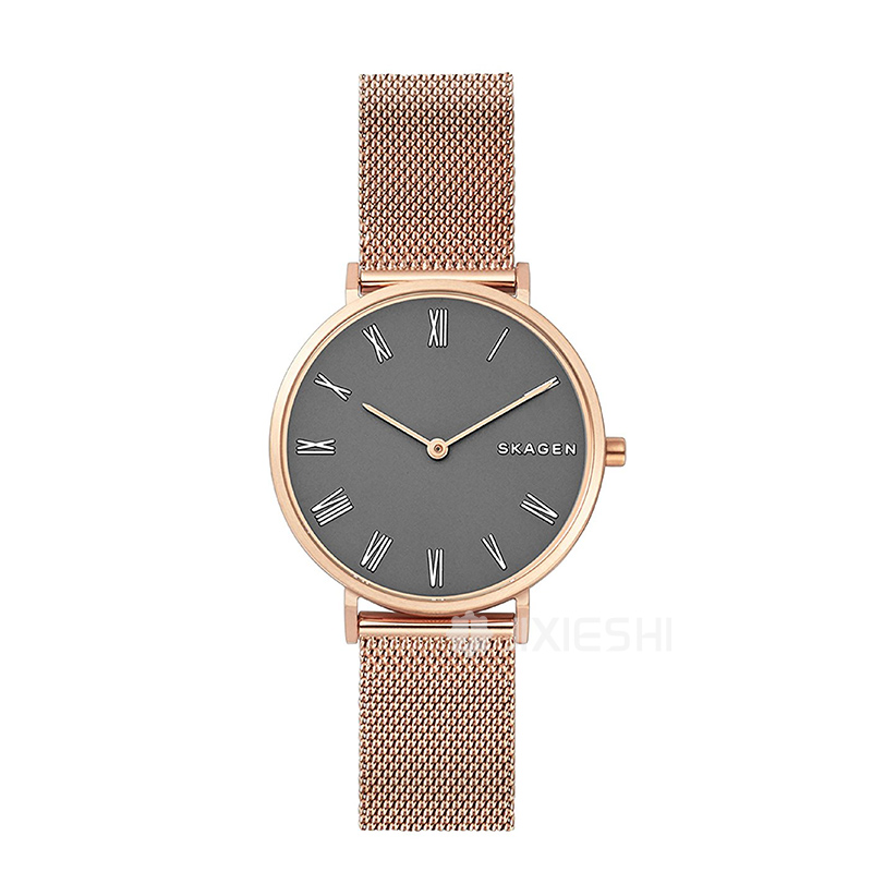 SKAGEN DENMARK ԊʯӢŮʿֱSKW2675 ...