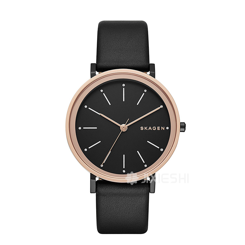 SKAGEN DENMARK ԊʯӢŮʿֱSKW2490 ...