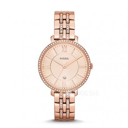 FOSSIL (gu)FOSSILʯӢŮʿֱES3546 Ȿԭ