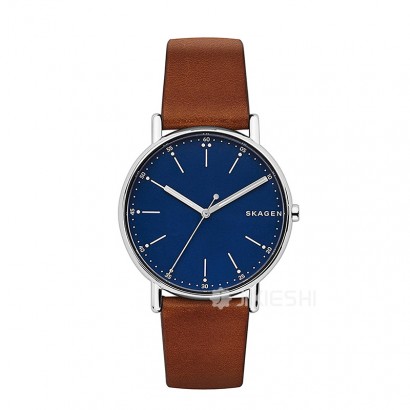 SKAGEN DENMARK ԊʯӢʿֱSKW6355 Ȿԭ