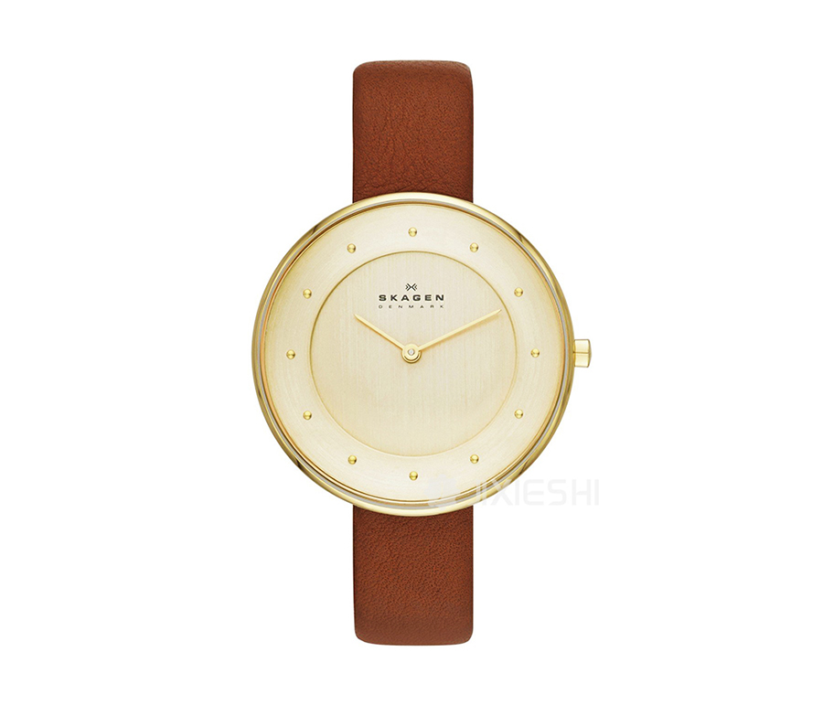 SKAGEN DENMARK ԊʯӢŮʿֱSKW2138 Ȿԭ