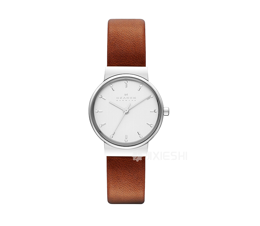 SKAGEN DENMARK Ԋ(sh)ʯӢŮʿֱSKW2192 Ȿԭ