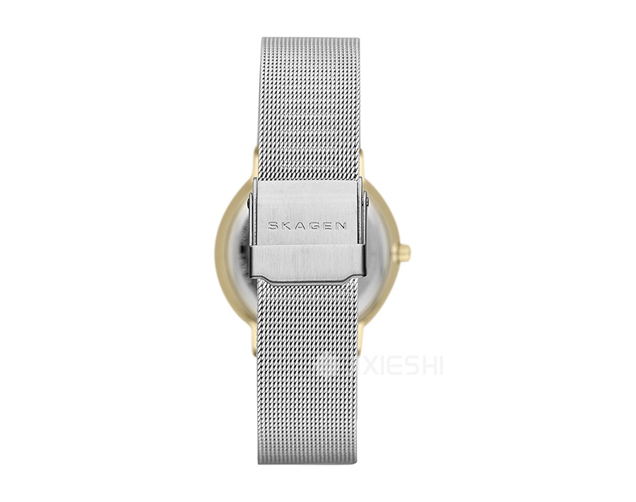 SKAGEN DENMARK ԊʯӢŮʿֱSKW2076 Ȿԭ