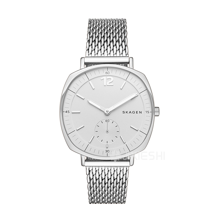 SKAGEN DENMARK ԊʯӢŮʿֱSKW2402 Ȿԭ