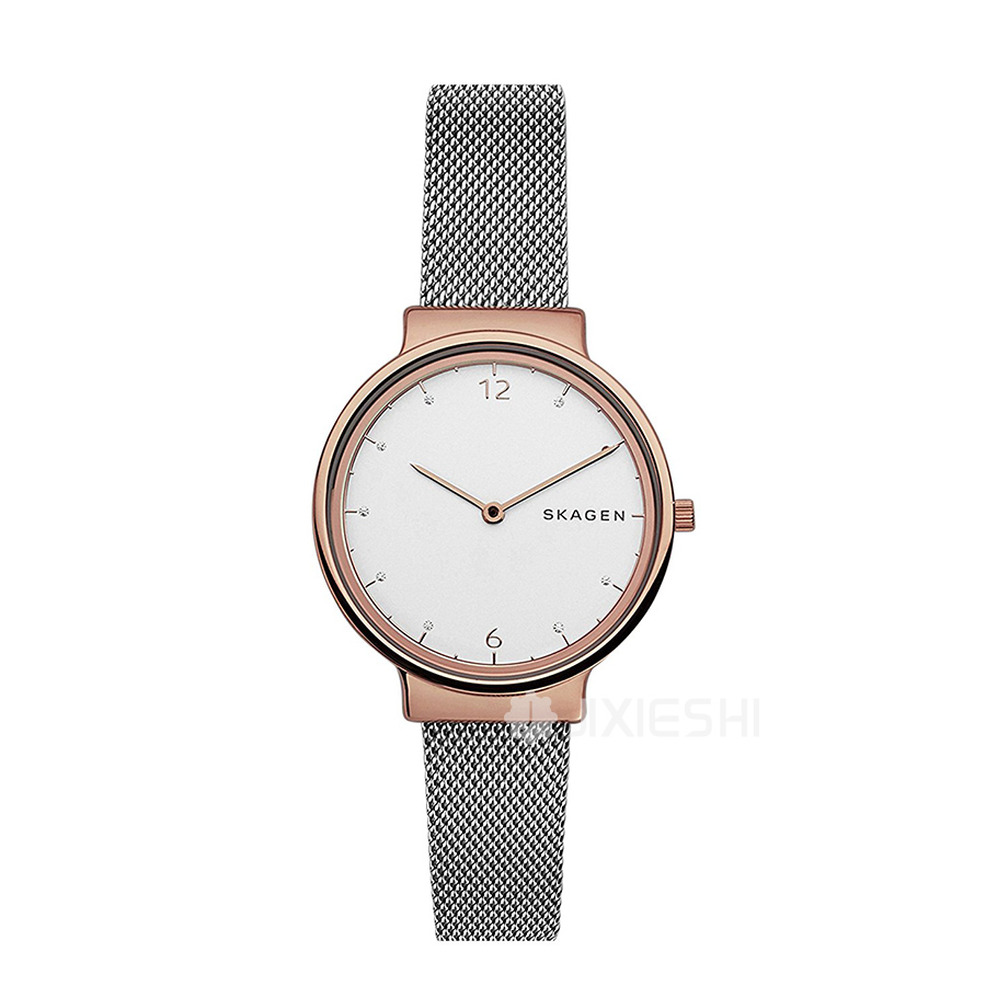 SKAGEN DENMARK ԊʯӢŮʿֱSKW2616 Ȿԭ