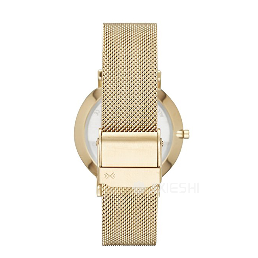 SKAGEN DENMARK ԊʯӢŮʿֱSKW2509 Ȿԭ