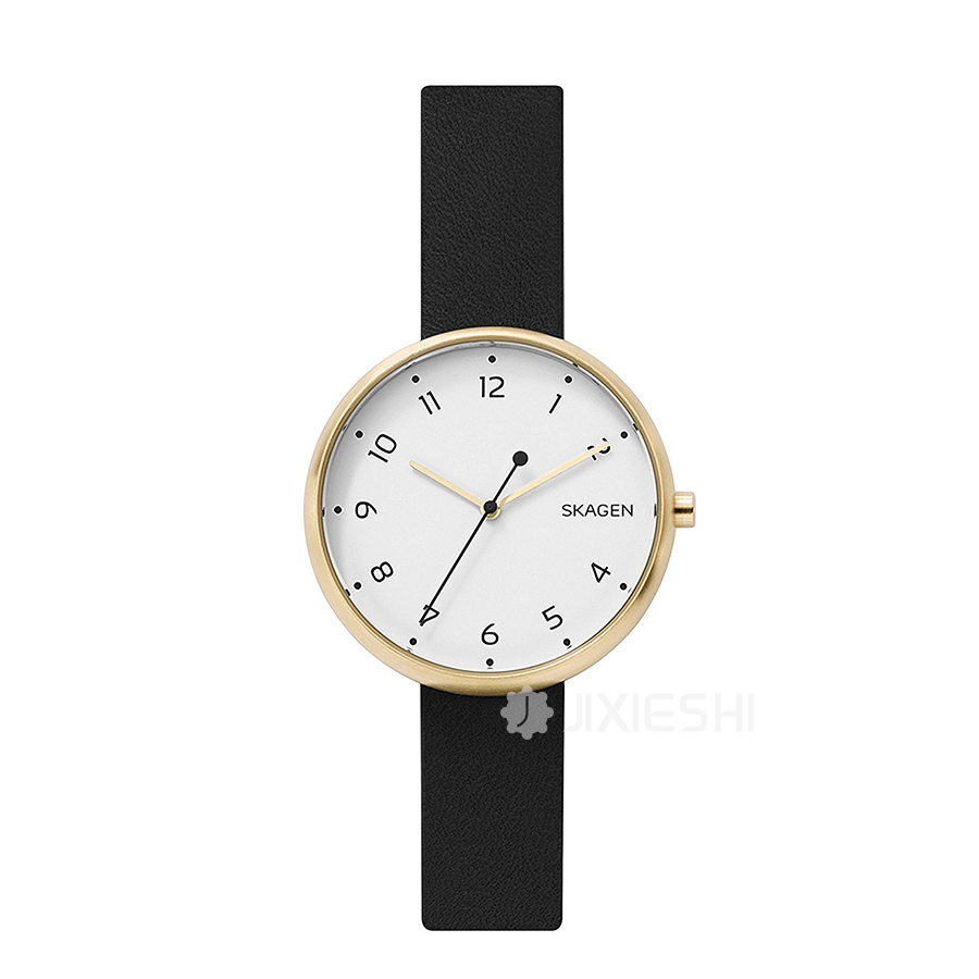 SKAGEN DENMARK ԊʯӢŮʿֱSKW2626 Ȿԭ