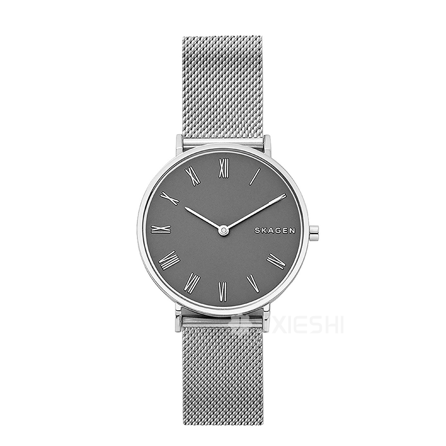 SKAGEN DENMARK ԊʯӢŮʿֱSKW2677 Ȿԭ